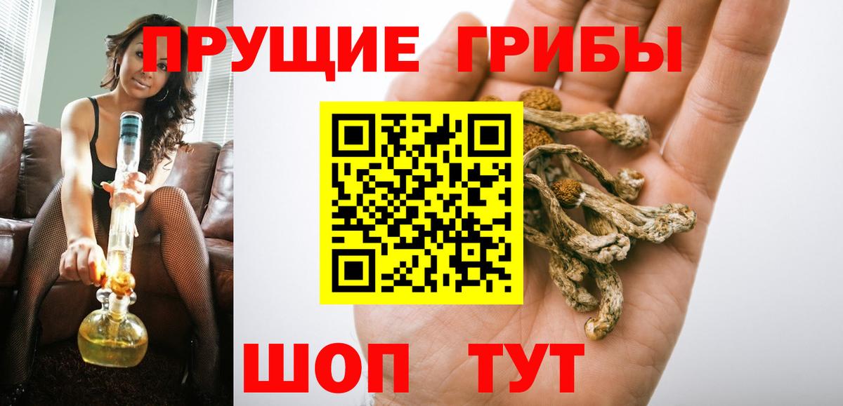 Галлюциногенные грибы Psilocybine cubensis  Вход с VPN  Рубцовск 