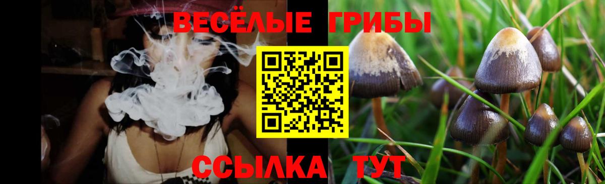 Псилоцибиновые грибы GOLDEN TEACHER Рубцовск